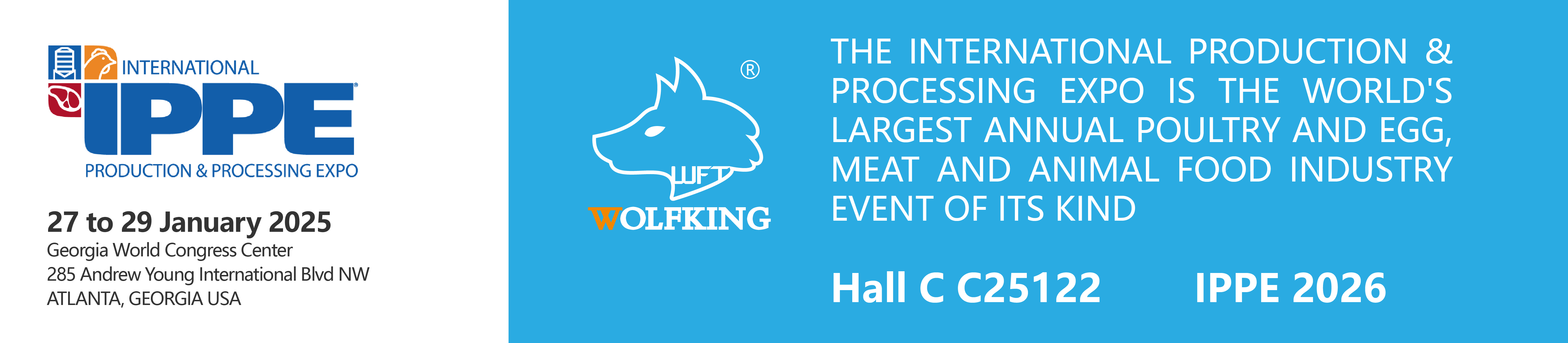 IPPE Web_ 画板 1 副本 2