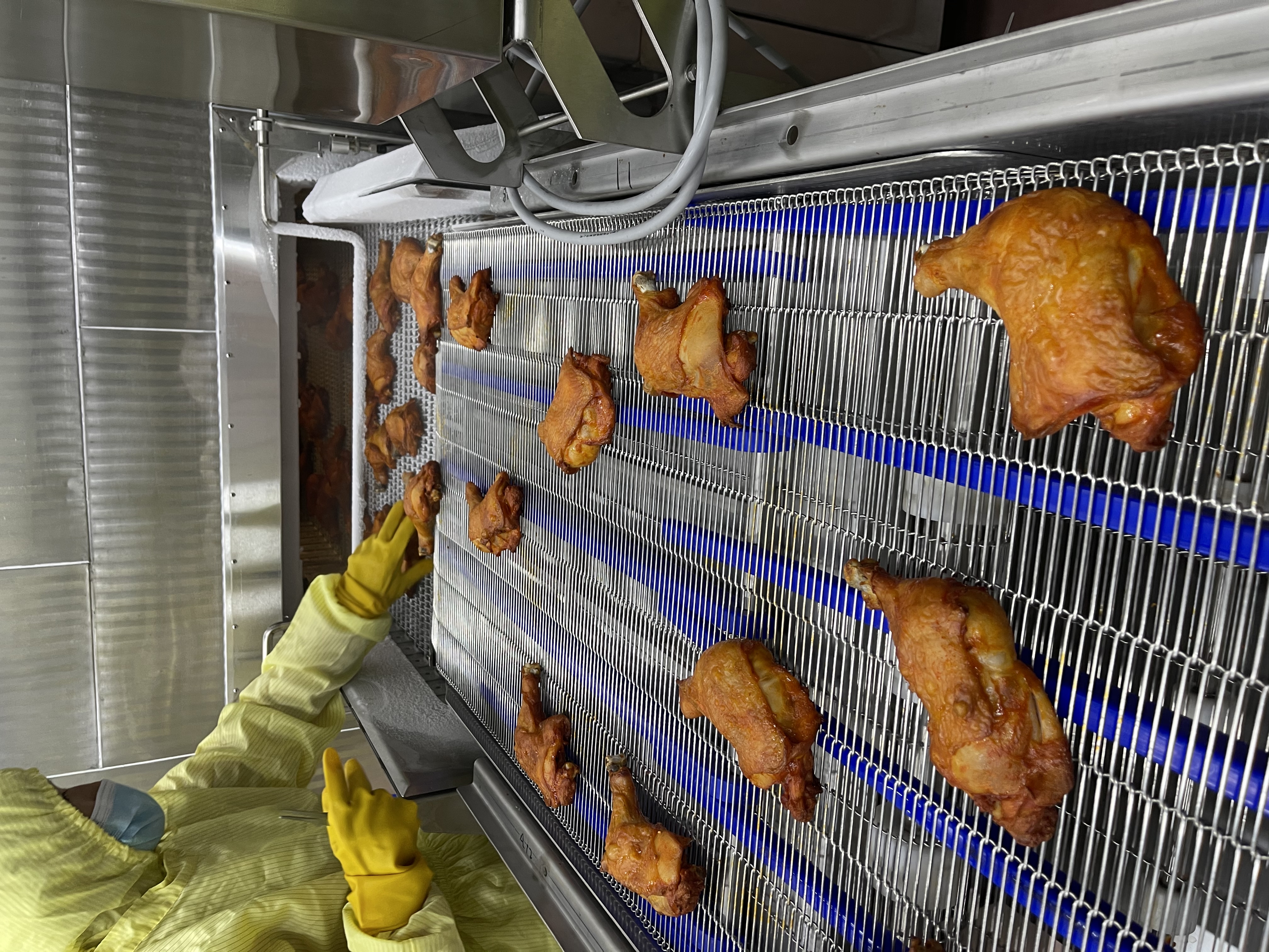 3 Transportador de transici&oacute;n 过渡输送 2